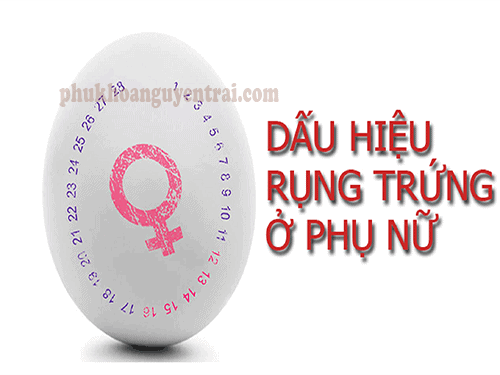 Dấu hiệu rụng trứng ở phụ nữ